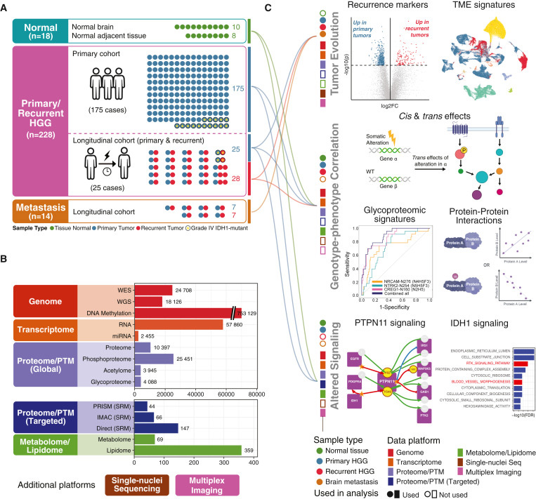 研究對象、技術平臺和檢測概述