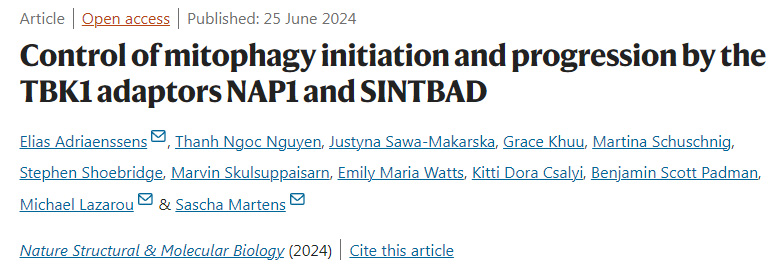 TBK1受體NAP1和SINTBAD對自噬起始和進(jìn)展的控制