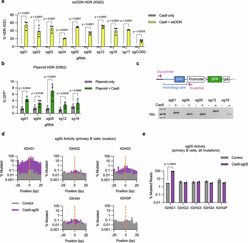 IgH基因座恒定區(qū)基因組編輯的擴展分析 IgH基因座恒定區(qū)基因組編輯的擴展分析