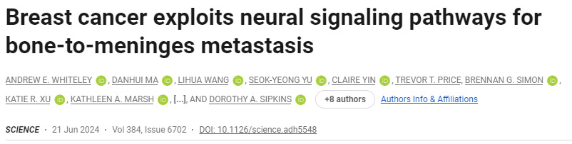 乳腺癌利用神經(jīng)信號(hào)通路進(jìn)行骨轉(zhuǎn)移