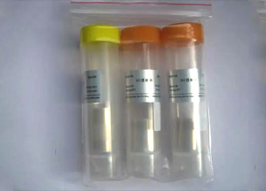 經(jīng)濟(jì)型透析袋，RC膜，14 KD，扁平寬度77 mm