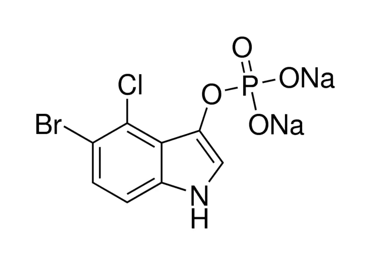 5-溴-4-氯-3-吲哚磷酸二鈉鹽（BCIP-2Na）