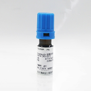 mRNA Cap-2'-O-甲基轉移酶