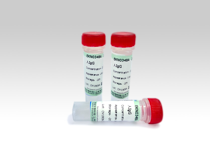 Seebio? 人IgG Seebio? 人IgG