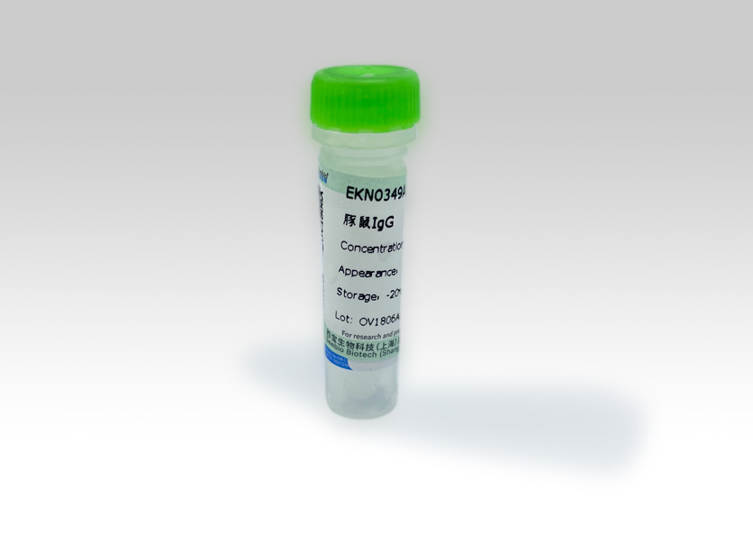 Seebio? 豚鼠IgG