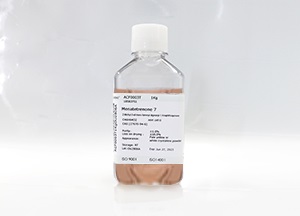 SeeBM03 CHO基礎培養(yǎng)基(液體) SeeBM03 CHO基礎培養(yǎng)基(液體)