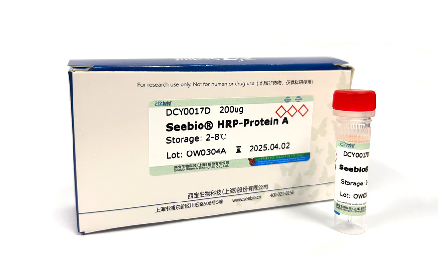 Seebio? 辣根過氧化物酶標(biāo)記重組蛋白A Seebio? 辣根過氧化物酶標(biāo)記重組蛋白A