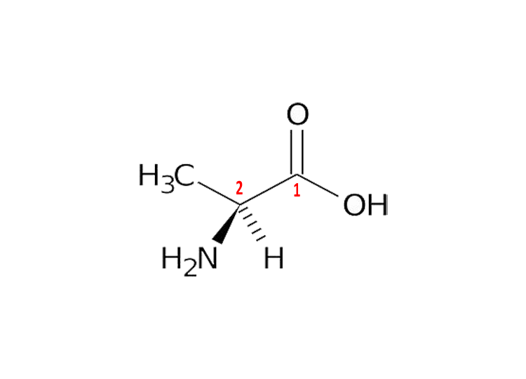 L-丙氨酸 L-丙氨酸