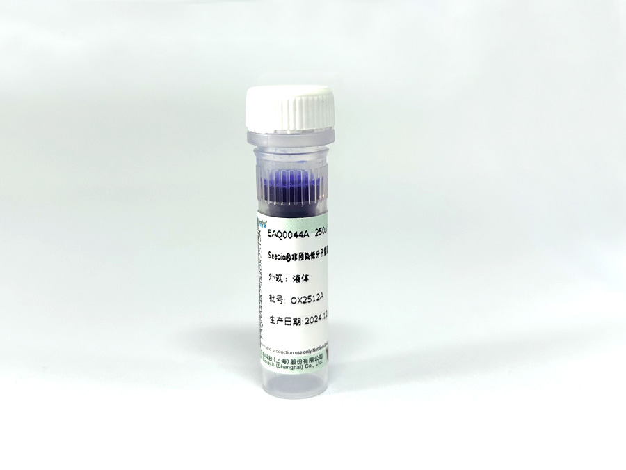 Seebio?非預(yù)染低分子量蛋白質(zhì)分子量標(biāo)準(zhǔn)，3.1~41?kDa