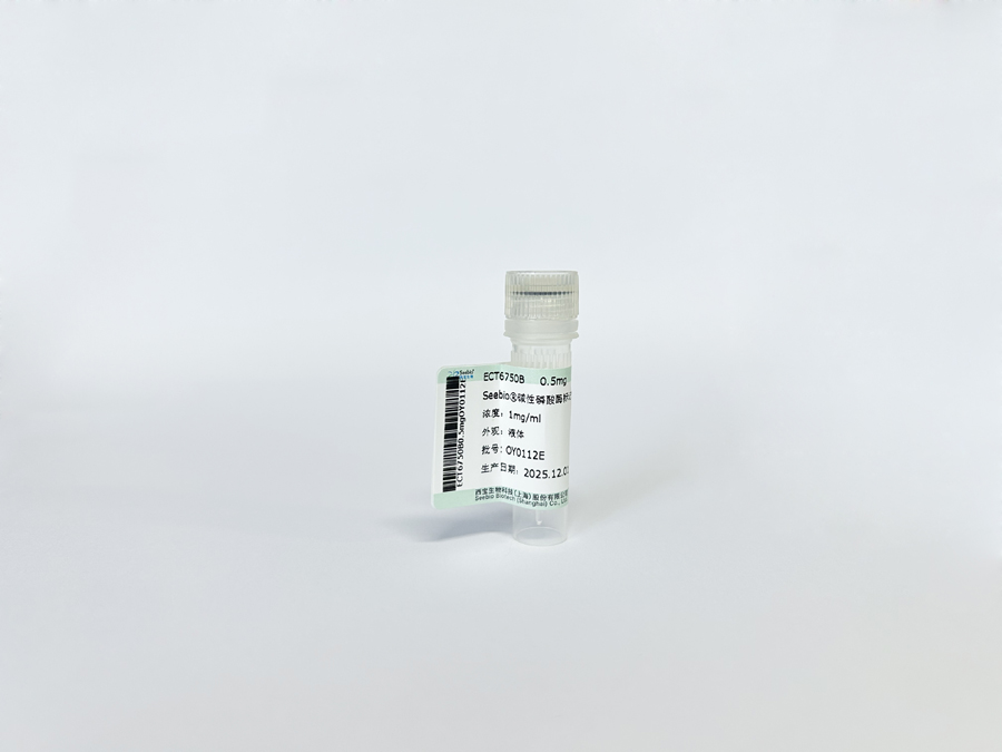 Seebio?堿性磷酸酶標記鏈霉親和素（SA-ALP）