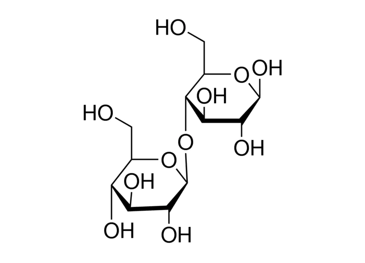 D-(+)-纖維二糖 D-(+)-纖維二糖