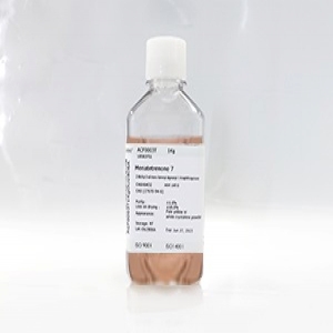 SeeHEK293CD03基礎(chǔ)培養(yǎng)基(液體)