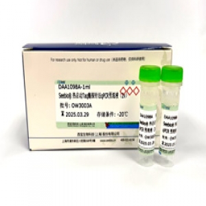 Seebio? 熱啟動(dòng)Taq酶探針?lè)╭PCR預(yù)混液(2X)